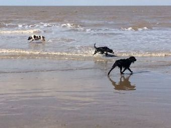 Motel The Old Rectory