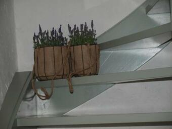 Bed & Breakfast De Hoefstal 1765