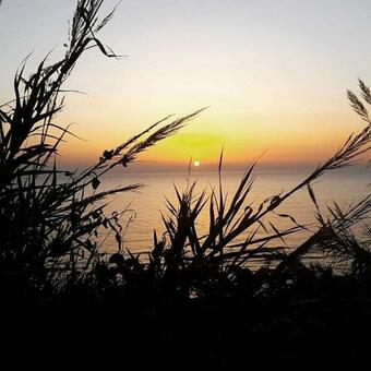 Apartamento Alga Marina