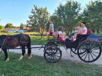 Casa De Vacan?? Ziazian - B?rcut