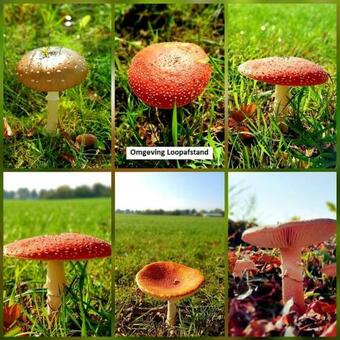 Apartamento Op De Buitink 'de Varkensstal'