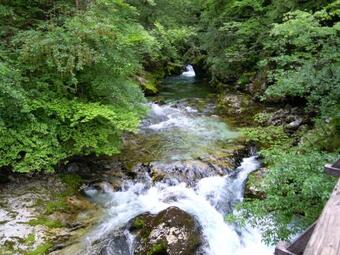 Hostal Slovenian Traditional Guest House
