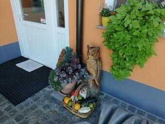 Apartments Alexandra