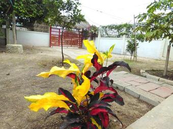 Apartamento Inti Ayangue House