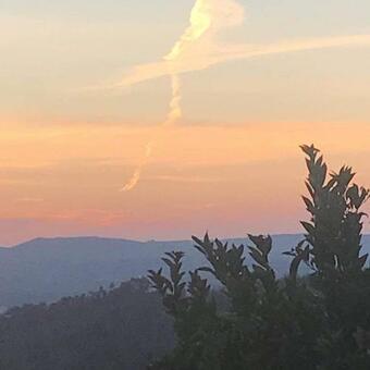 Apartamento Sinta A Natureza E Descubra A Vida!