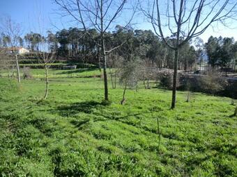 Bed & Breakfast Vianashome