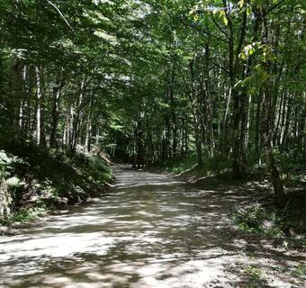 Seventh House, Preno?i??e Pod Sne?ni?kim Hribovjem