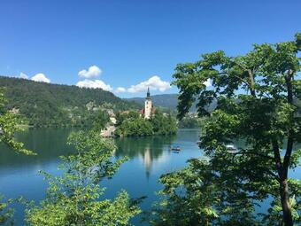 Hostal Wooden Cabin Kamna Gorica