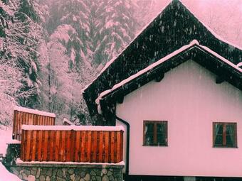 Apartamento Rose Garden