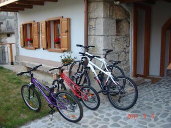 Apartments Tonkli