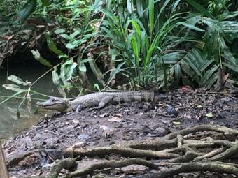 Ver fotos