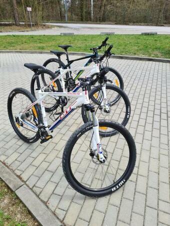 "10" S?o?ce Woda Las - Apartament No10 Gara? W Cenie