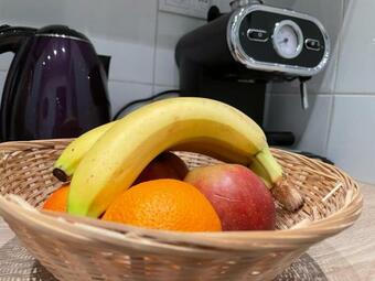 Apartment Chorzow Center