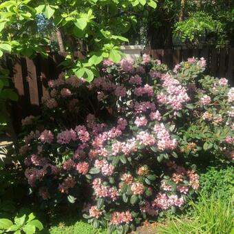 Dom 4 Pokoje Z Basenem Blisko Warszawy