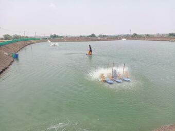 Shruthi's Aarohi-nature's Retreat