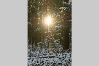 Nowoczesny Apartament W Puszczy Bia?owieskiej