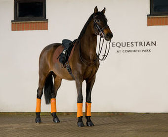 Hotel Coworth Park - Dorchester Collection