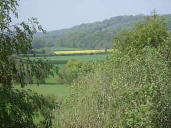 Bed & Breakfast Howton Grove House