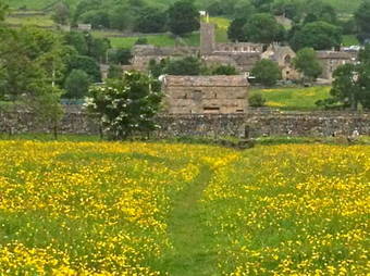 Bed & Breakfast Stoney End