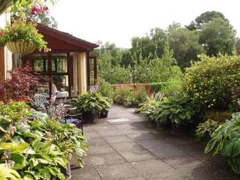 Hostal Forest How Guest House