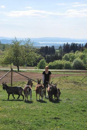 Apartamento Ferienhof Hummer