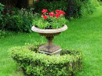 Bed & Breakfast Three Ivy Cross