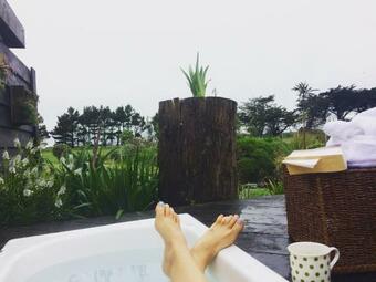 Southern Scenic Stargazer