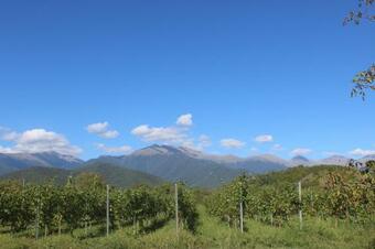 Bed & Breakfast Chubini Winery & Pine Cottage