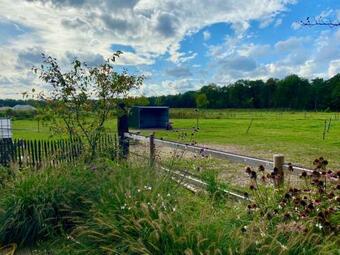 Luxe Finse Kota Van De Zandhoef