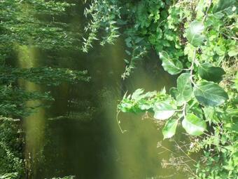 Bed & Breakfast Den Laage Hof