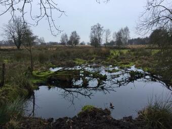 Bed & Breakfast De Drie Berken