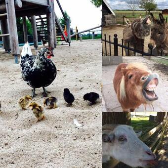 Pop-up Hotel Songfestival