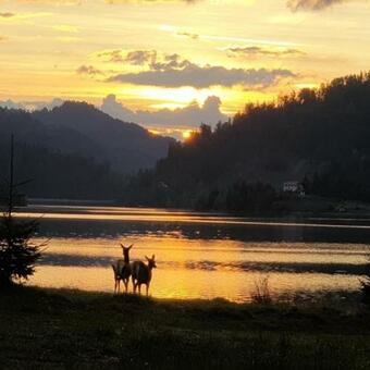 Villa The Mountain's Sea Chalet