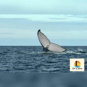 Hostal Abrolhos Sol A Mar