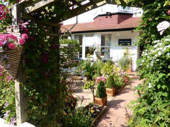 Bed & Breakfast Belle Dene Guest House