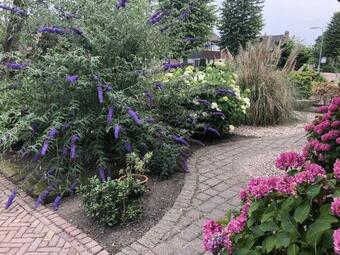 Agroturismo Engels Landhuis