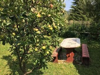 Hostal Pensiunea Gentiana