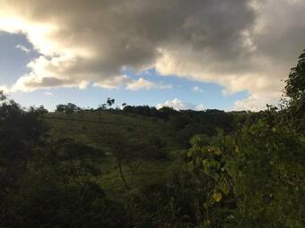 S�tio S�o Francisco, Natureza E Estrutura Completa