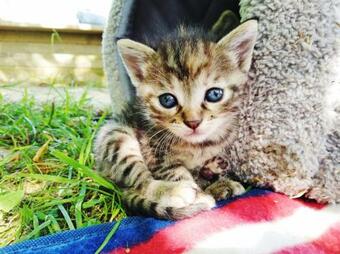 Hostal Suiten Am Simmhof