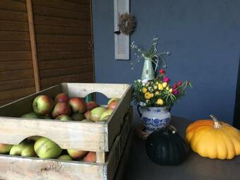 Bed & Breakfast De Stippelberg