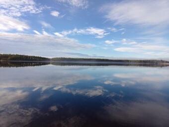 Bed & Breakfast Danny