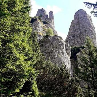 Cabanute Pitoresti Poiana Largului