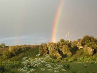 Bed & Breakfast Murcott Mill
