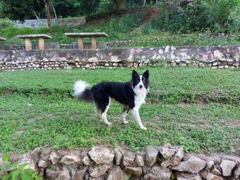 Caba�a Dc Tamasopo