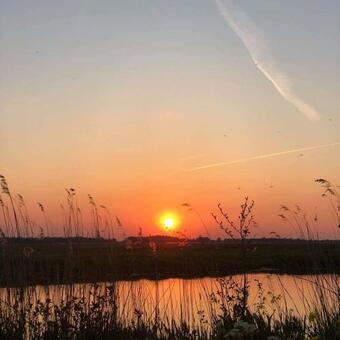 Bed & Breakfast Het Kraaienbosch