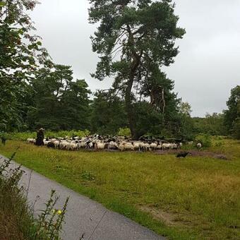 Ruim Vakantie Chalet Zeegse, Drenthe