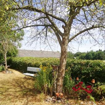 Apartamento Scheibershof Appartementenverhuur