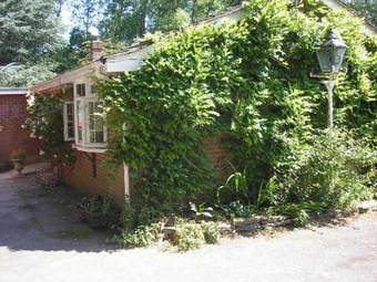 Bed & Breakfast Woodland Views