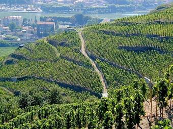 Apartamento Gite Abricotier
