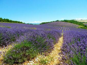 Hostal La Bastide Du Claus - Vitaverde